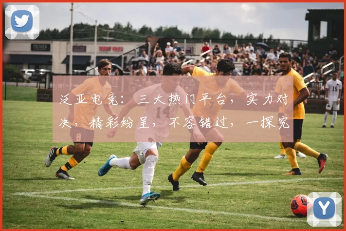 泛亚电竞：三大热门平台，实力对决，精彩纷呈，不容错过，一探究竟