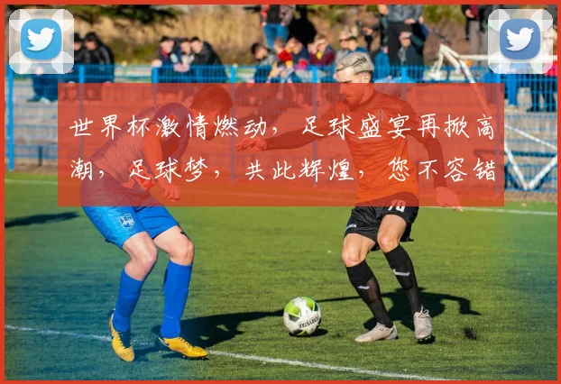 世界杯激情燃动，足球盛宴再掀高潮，足球梦，共此辉煌，您不容错过