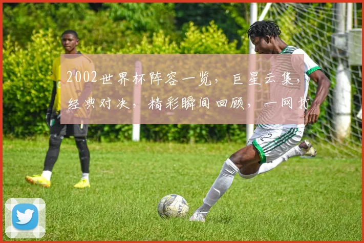 2002世界杯阵容一览，巨星云集，经典对决，精彩瞬间回顾，一网打尽