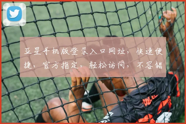 亚星手机版登录入口网址，快速便捷，官方指定，轻松访问，不容错过，立即体验