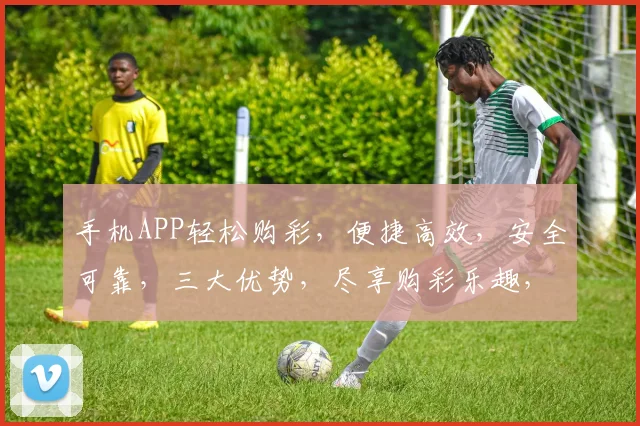 手机APP轻松购彩，便捷高效，安全可靠，三大优势，尽享购彩乐趣，快来体验