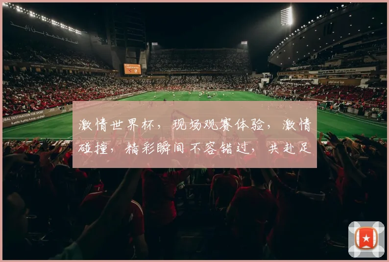 激情世界杯，现场观赛体验，激情碰撞，精彩瞬间不容错过，共赴足球盛宴